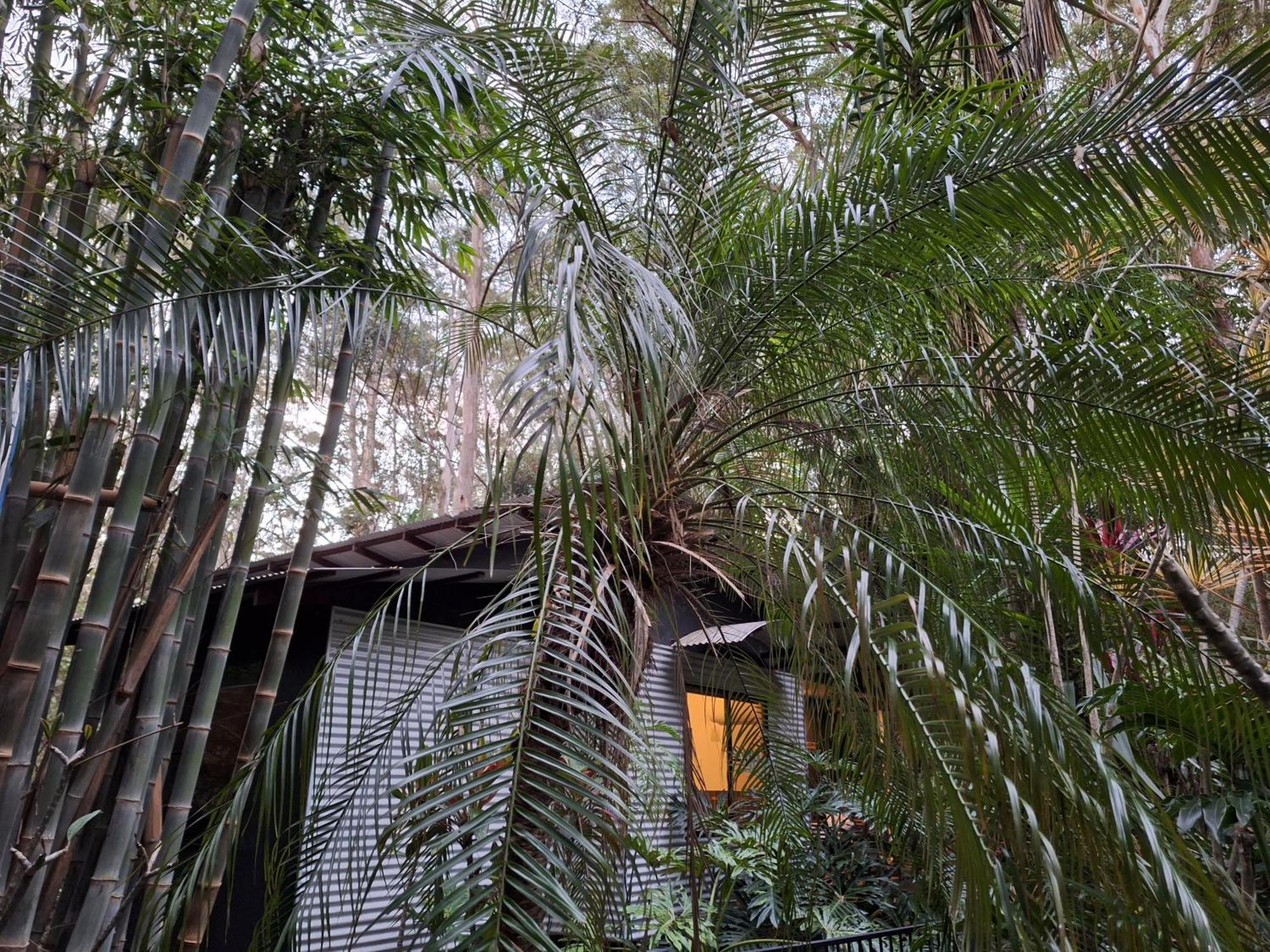 Alaya Escape Acomodação com café da manhã Eudlo Exterior foto